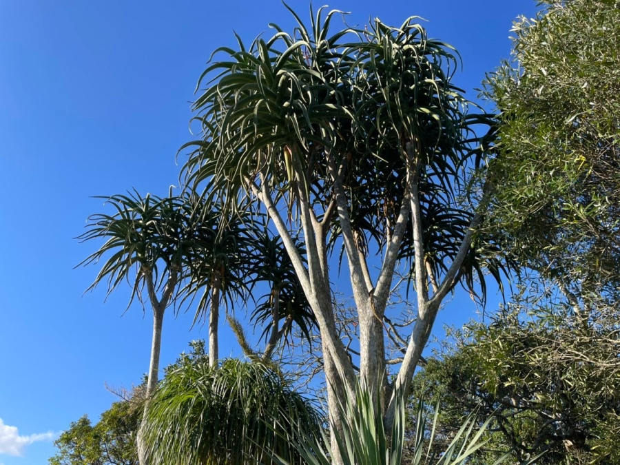 0 Bedroom Property for Sale in Bathurst Eastern Cape